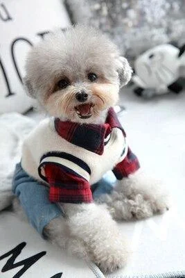 Plaid Shirt With Denim Pants Terry Blend Velvet Blend Canvas Blend